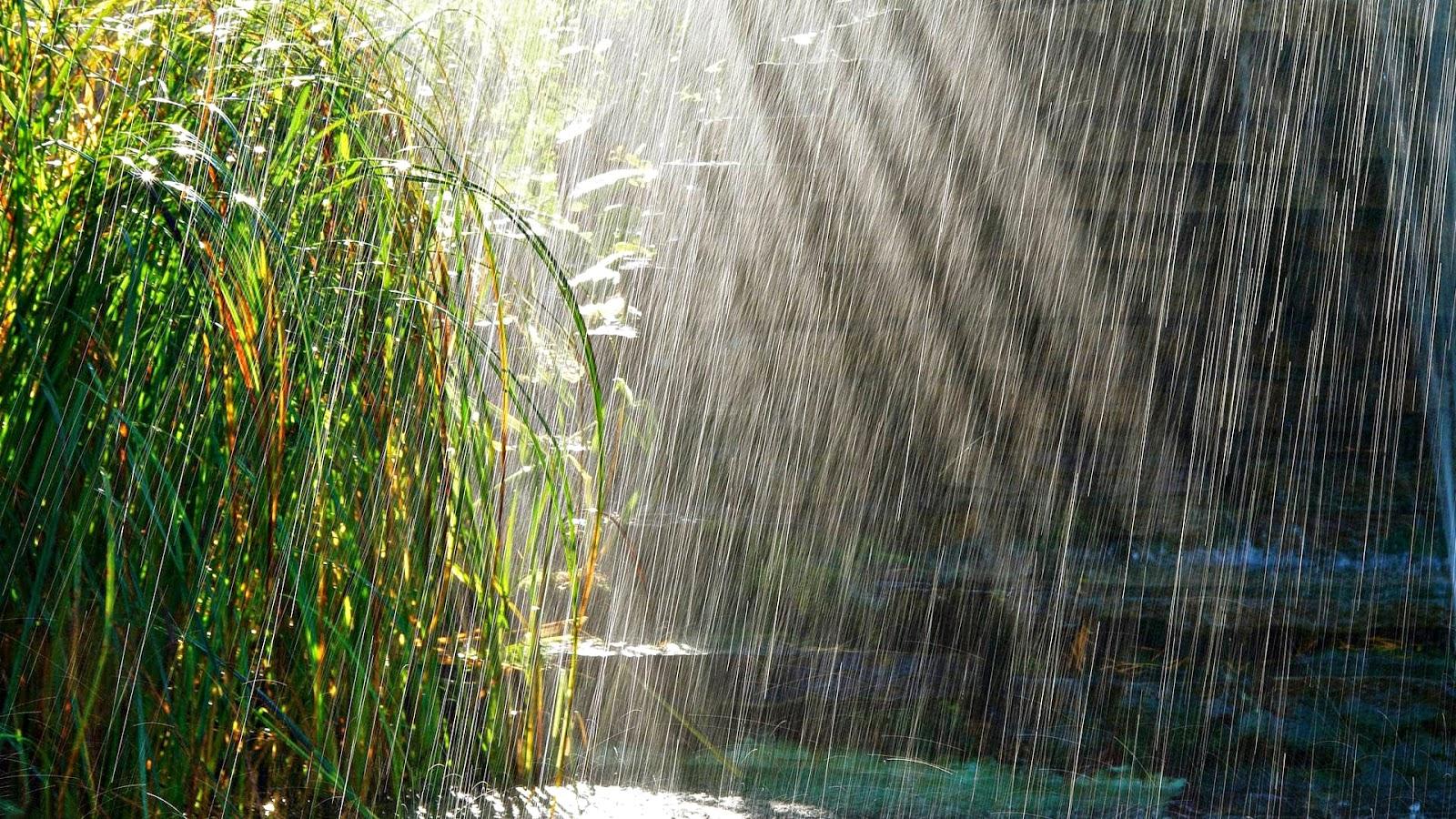 Lluvia en Baradero | Baradero Te Informa