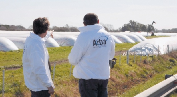 20150109091317_arba_campo