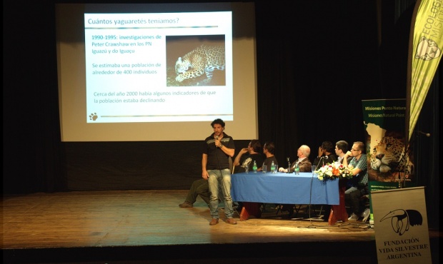 Agustín Paviolo, líder del Proyecto Yaguareté del CeIBA-IBS indicó, “estamos en el camino correcto para conservar la especie en Misiones”. Foto Misiones Online/InfoGEI