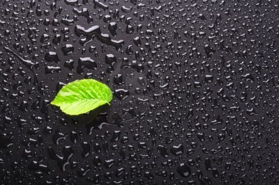 lluvia