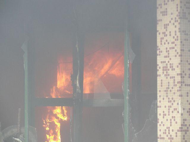 Copia (2) de DSC08975 [640x480]