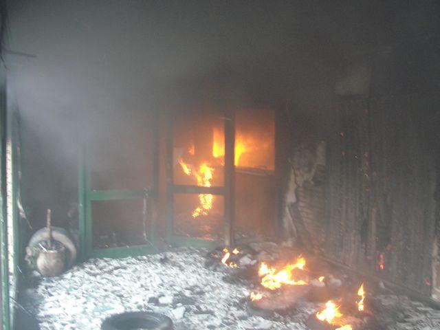 Copia (3) de DSC08981 [640x480]