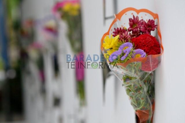 DSC_0171 [640x480]