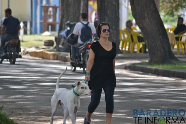 DSC_0445 [640x480]