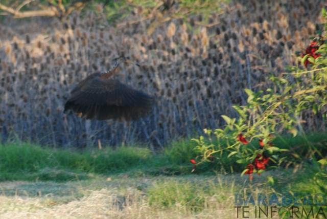 DSC_0803 [640x480]