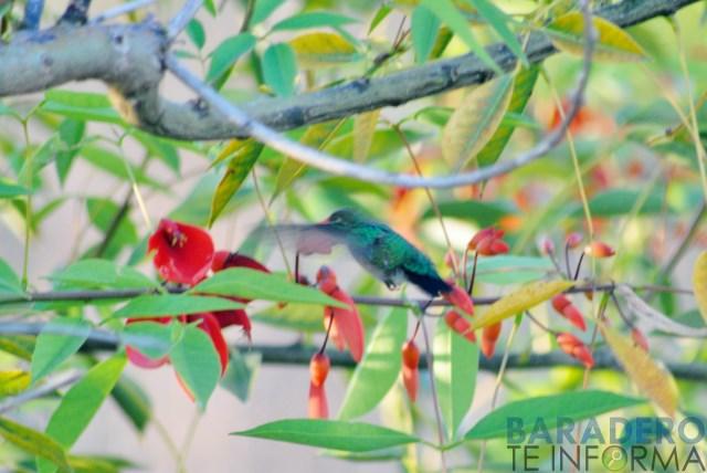 DSC_0806 [640x480]