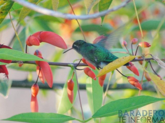 DSC_0807 [640x480]