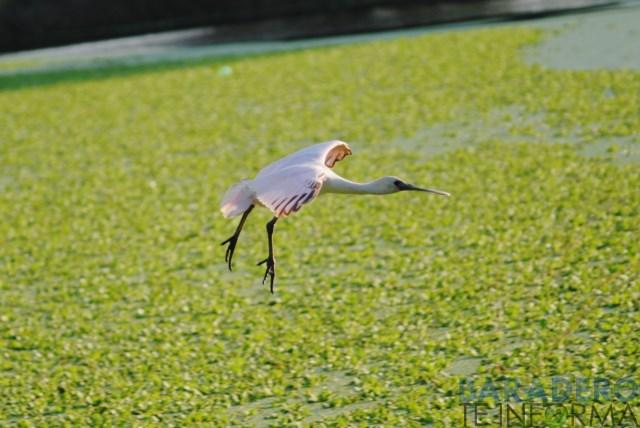 DSC_0830 [640x480]