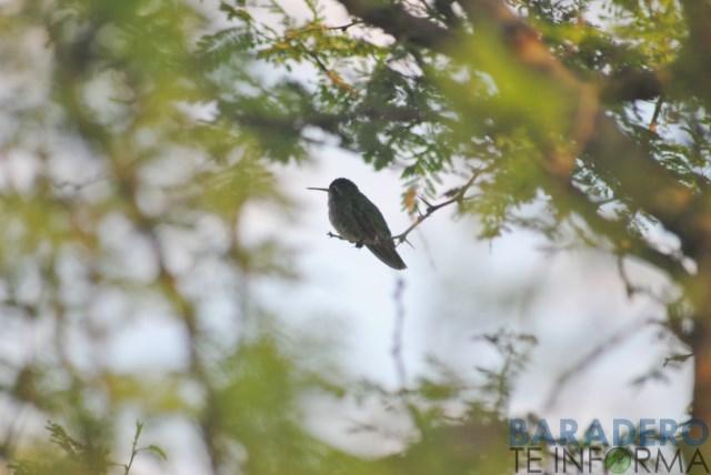 DSC_0833 [640x480]