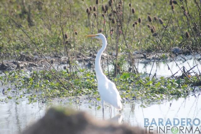 DSC_0856 [640x480]