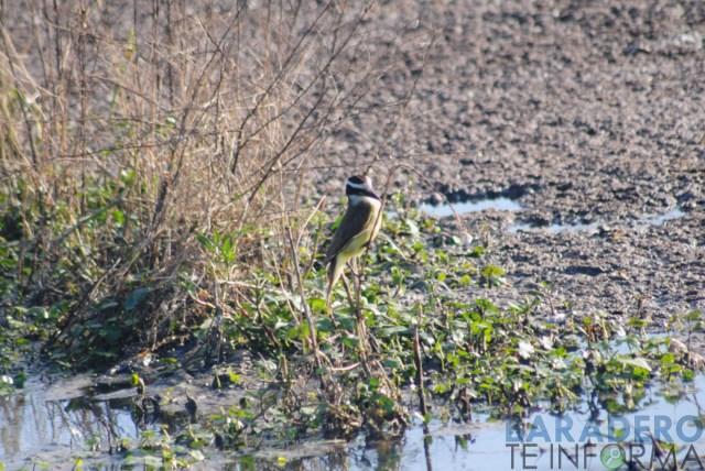 DSC_0862 [640x480]