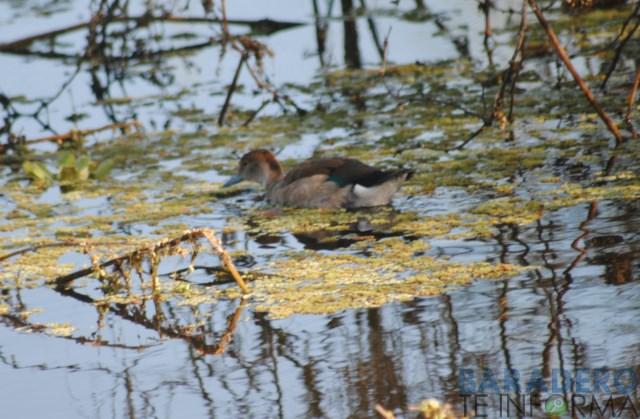 DSC_0880 [640x480]