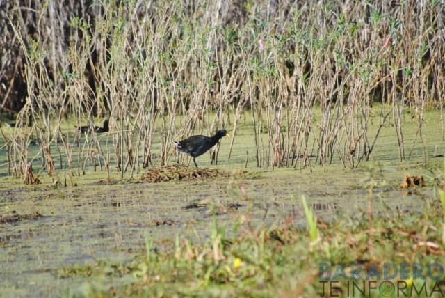 DSC_0890 [640x480]