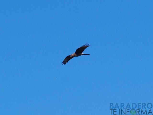 DSC_0900 [640x480]