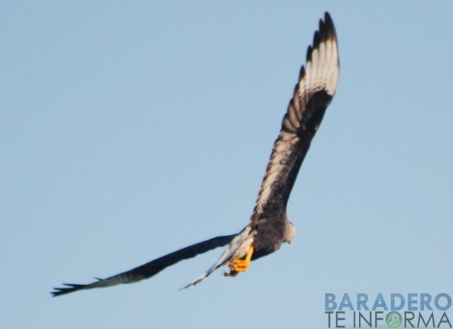 DSC_0914 [640x480]