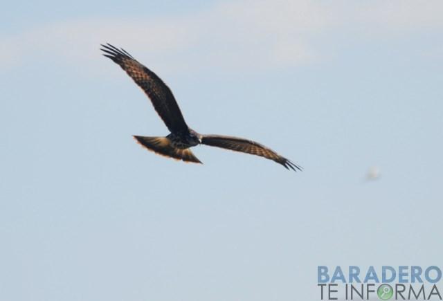 DSC_0946 [640x480]