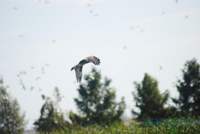 DSC_0947 [640x480]