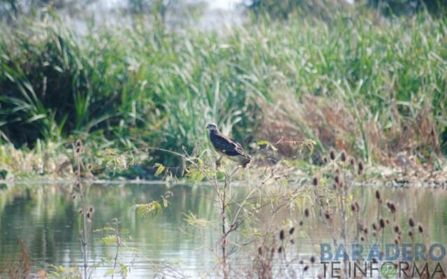 DSC_0951 [640x480]