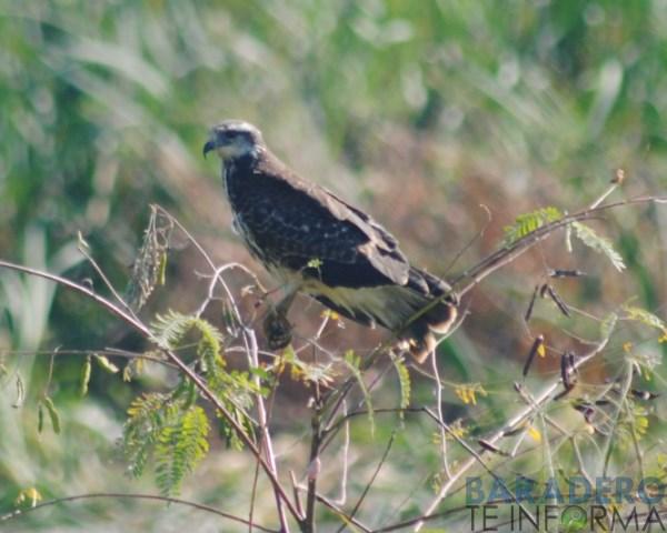 DSC_0964 [640x480]