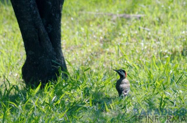 DSC_0991 [640x480]