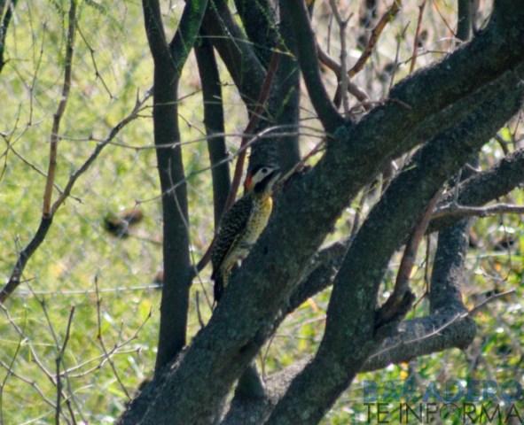 DSC_0992 [640x480]