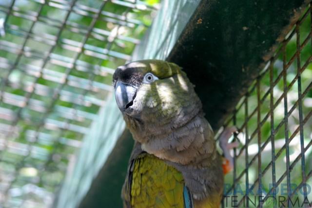 DSC_1008 [640x480]