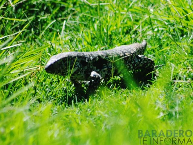 DSC_1031 [640x480]
