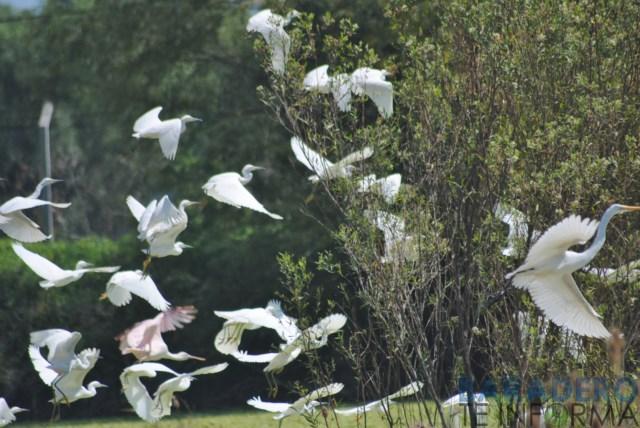 DSC_1054 [640x480]