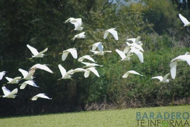 DSC_1056 [640x480]