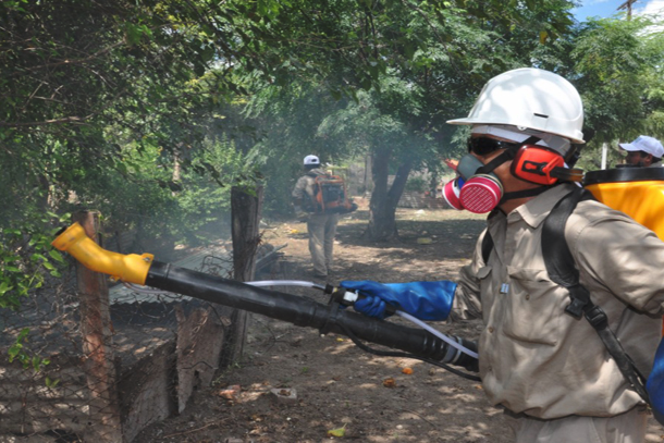 26-01-2016-dengue-fumigacion
