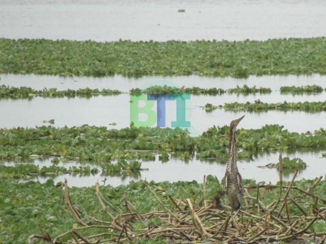 DSC01188 [640x480]