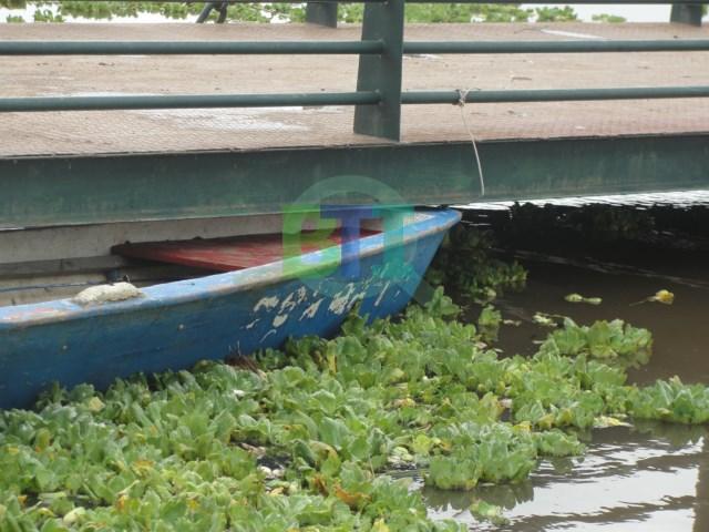 DSC01202 [640x480]
