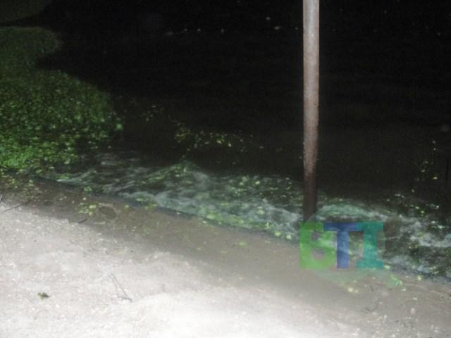 DSC01761 [640x480]