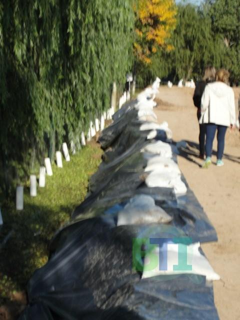 DSC01836 [640x480]