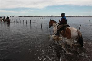 EXTREMOS-ARGENTINA-INUNDACIONES-CAMPO-2014-SOJA