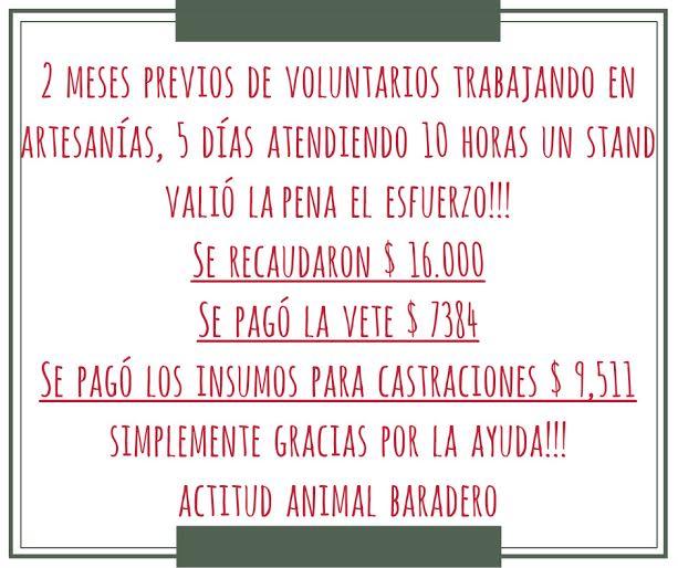 cb8fea3f-6469-4a2e-9468-92acda17c9d9 - copia