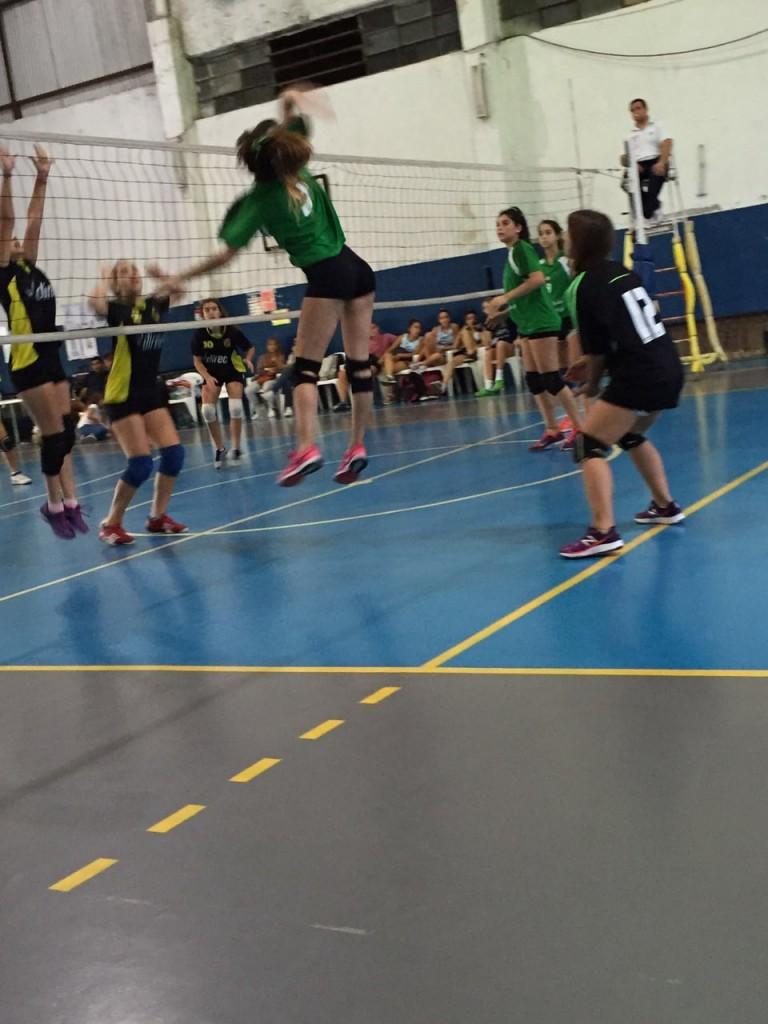 voley3