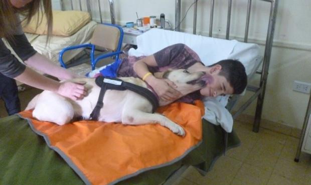 20160502180322_perros_terapistas