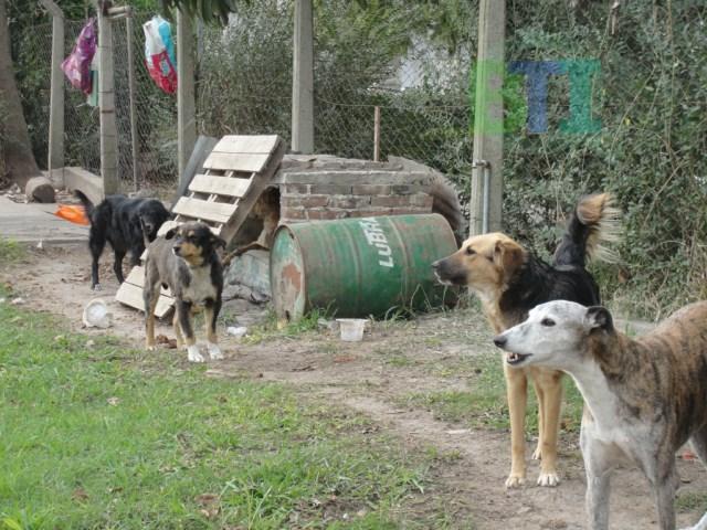 DSC09788-640x480
