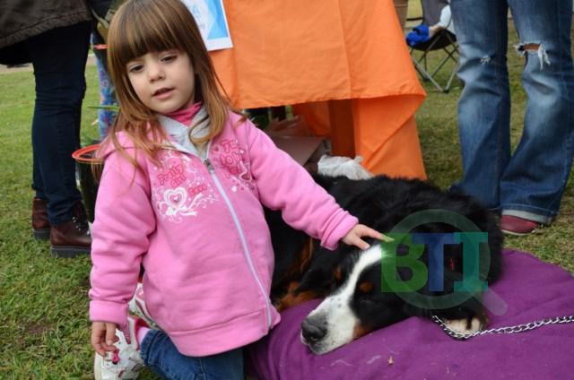 DSC_0687 [640x480]