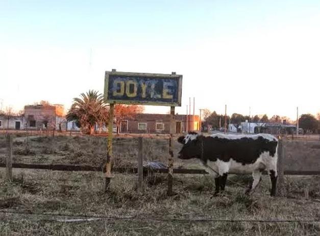 doyle
