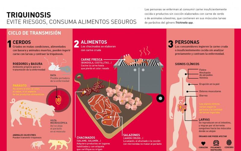 infografia_triquinosis2