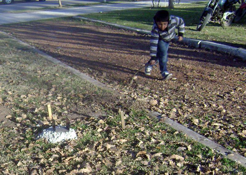 Los niños corren peligro jugando en las cercanías.