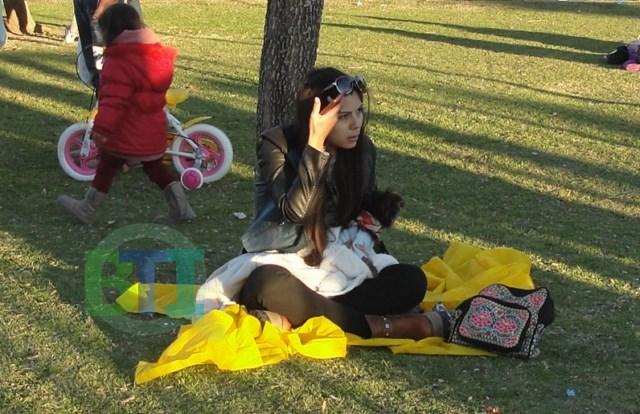 DSC02252 [640x480]