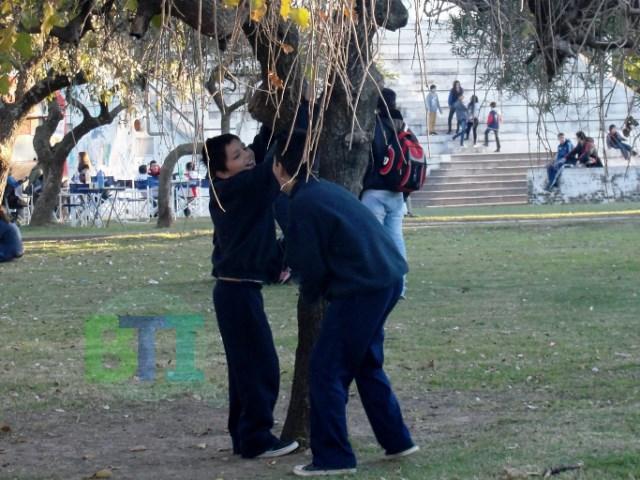 DSC02270 [640x480]
