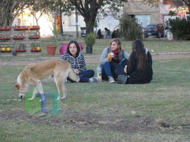 DSC02302 [640x480]