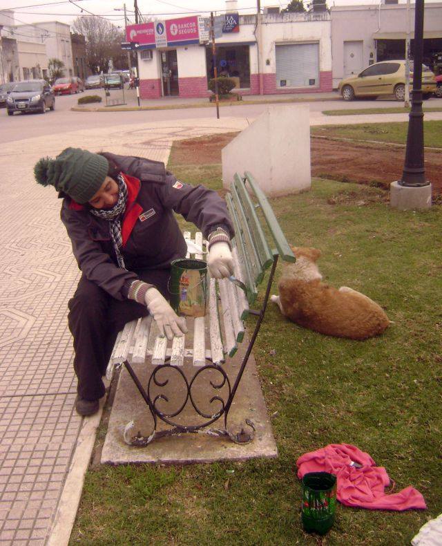Los bancos están siendo pintados de color verde.