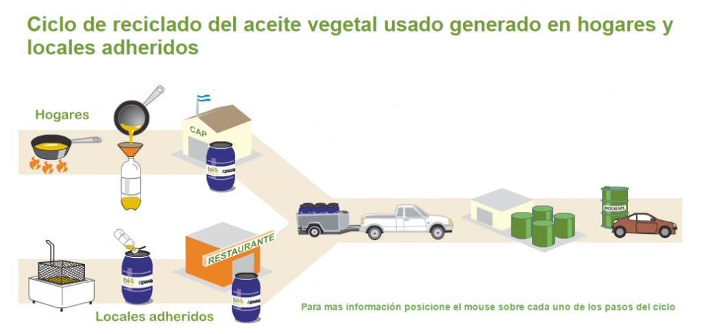 ciclo-bio